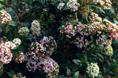 Similar image 6583063