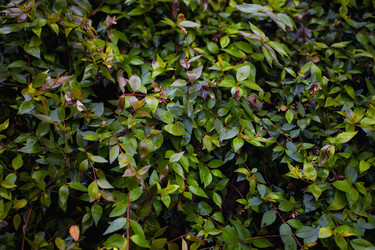 Similar image 6583064