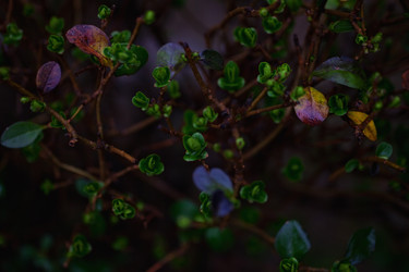 Similar image 6583066