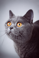 Similar image 6583070