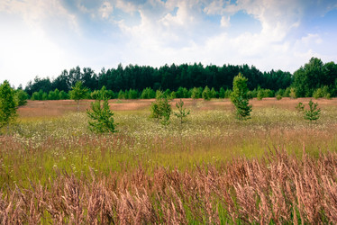 Similar image 6583104