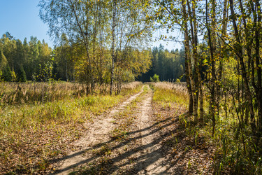 Similar image 6583105