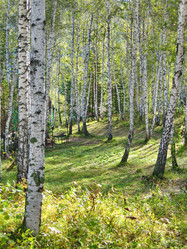 Similar image 6583126