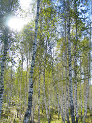 Similar image 6583127