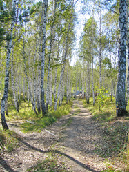 Similar image 6583128