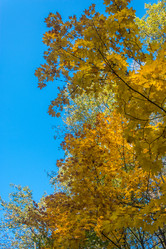 Similar image 6583129