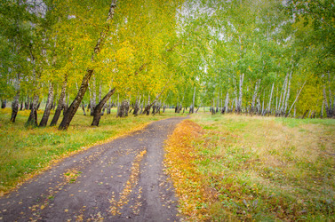 Similar image 6583148