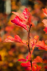 Similar image 6583149