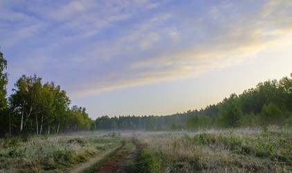 Similar image 6583168