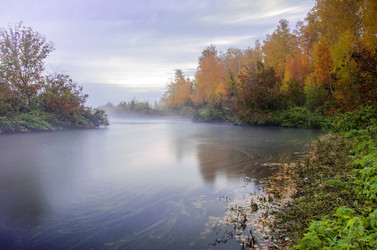 Similar image 6583169