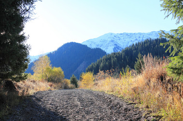 Similar image 6583201