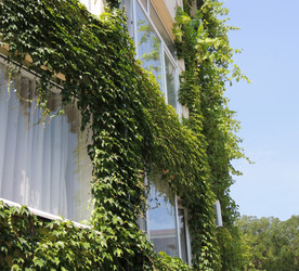 Similar image 6583231