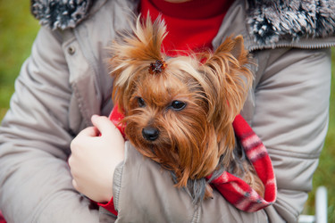 Similar image 6583338