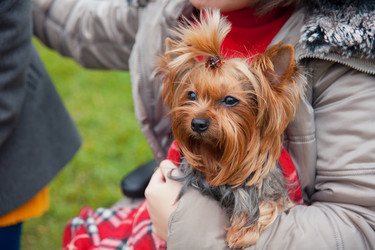 Similar image 6583340