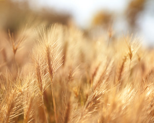 Similar image 6583431