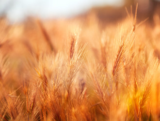 Similar image 6583432