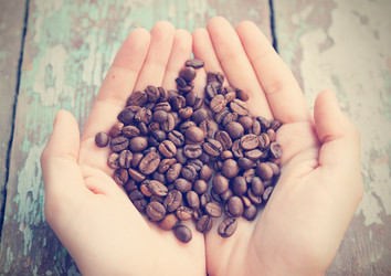 Similar image 6583434