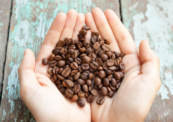 Similar image 6583442