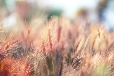 Similar image 6583443