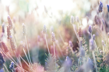 Similar image 6583444