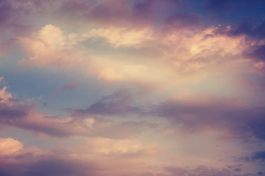 Similar image 6583448