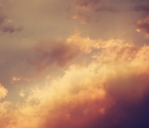 Similar image 6583450