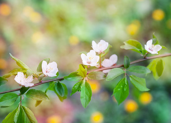 Similar image 6583452