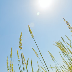 Similar image 6583453