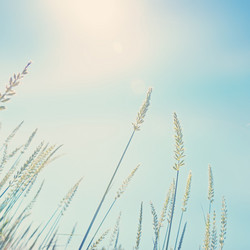 Similar image 6583454