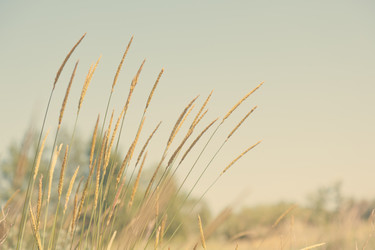 Similar image 6583456