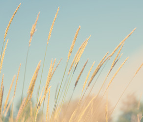 Similar image 6583457