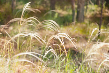 Similar image 6583459