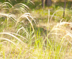 Similar image 6583460