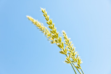 Similar image 6583462