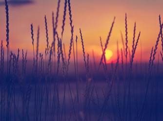 Similar image 6583464