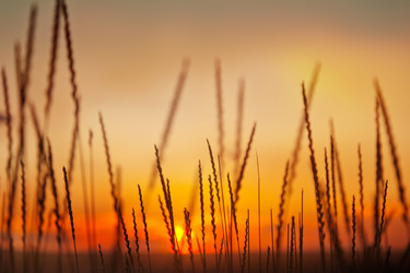 Similar image 6583465