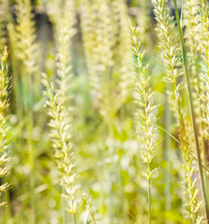 Similar image 6583467