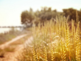 Similar image 6583469