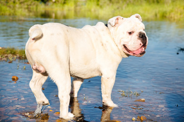 Similar image 6583475