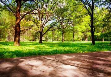 Similar image 6583474