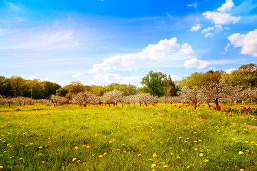 Similar image 6583480