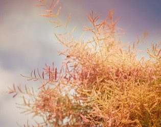 Similar image 6583483