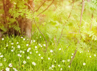 Similar image 6583486