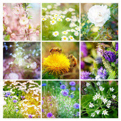 Similar image 6583487