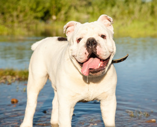 Similar image 6583492