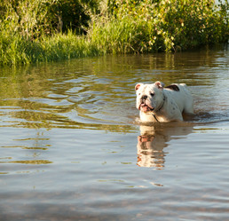 Similar image 6583493