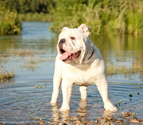 Similar image 6583502