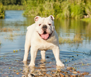 Similar image 6583503