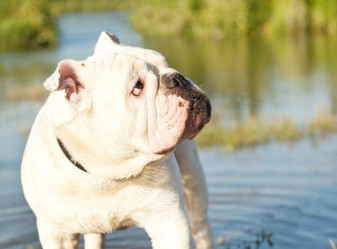 Similar image 6583505