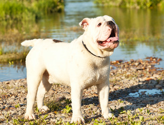 Similar image 6583508